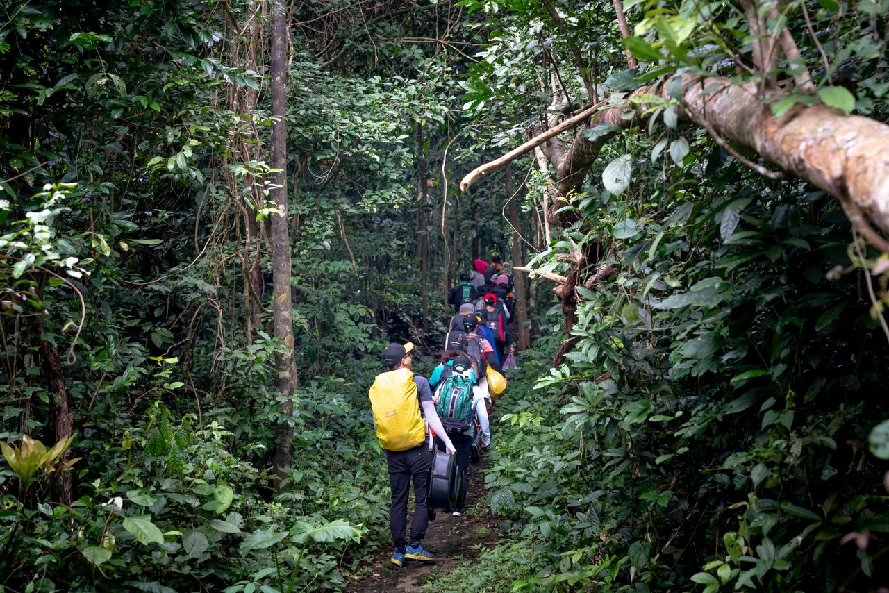 Group Tours